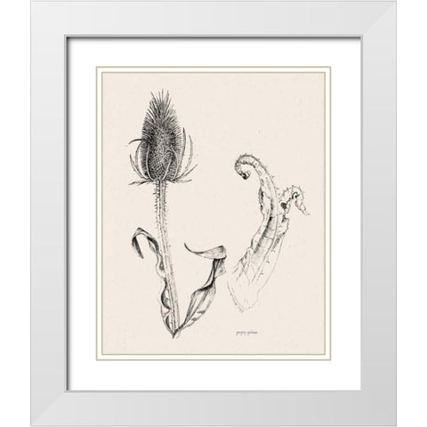 Plant Life IV White Modern Wood Framed Art Print with Double Matting by Gorham, Gregory