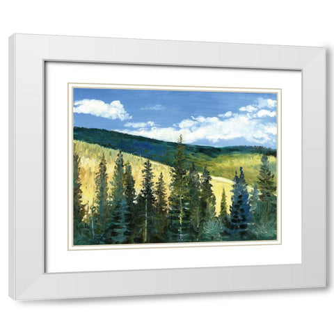 View From Slyvanite, MT White Modern Wood Framed Art Print with Double Matting by Gorham, Gregory