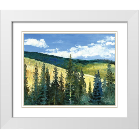 View From Slyvanite, MT White Modern Wood Framed Art Print with Double Matting by Gorham, Gregory