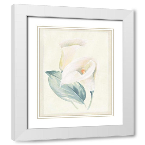 Calla Lily I White Modern Wood Framed Art Print with Double Matting by Hargittai, Paul