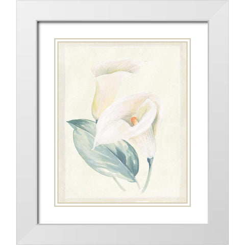 Calla Lily I White Modern Wood Framed Art Print with Double Matting by Hargittai, Paul