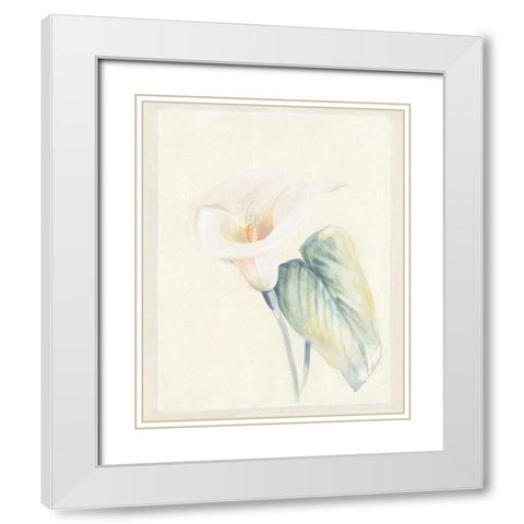 Calla Lily II White Modern Wood Framed Art Print with Double Matting by Hargittai, Paul