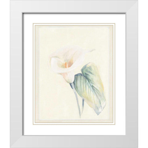 Calla Lily II White Modern Wood Framed Art Print with Double Matting by Hargittai, Paul
