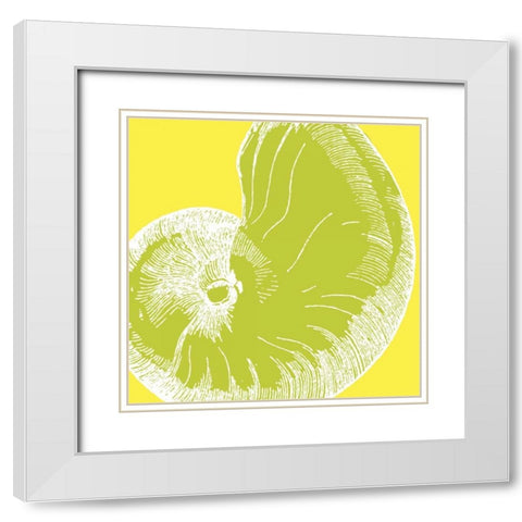 Graphic Shell II White Modern Wood Framed Art Print with Double Matting by Harbick, N