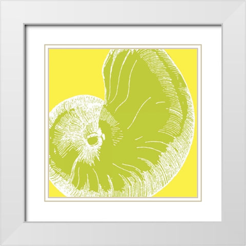 Graphic Shell II White Modern Wood Framed Art Print with Double Matting by Harbick, N