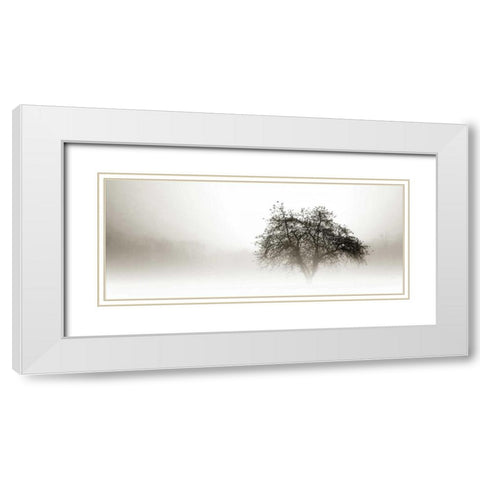 In the Mist I White Modern Wood Framed Art Print with Double Matting by Hausenflock, Alan