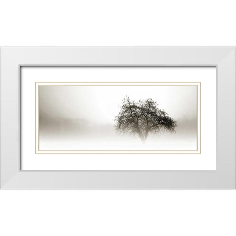 In the Mist I White Modern Wood Framed Art Print with Double Matting by Hausenflock, Alan