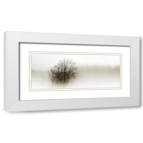 In the Mist II White Modern Wood Framed Art Print with Double Matting by Hausenflock, Alan
