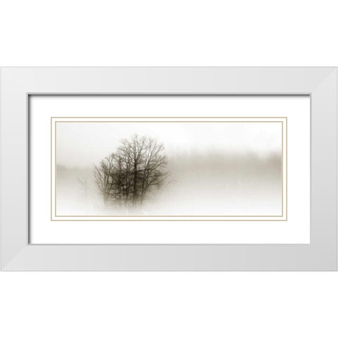 In the Mist II White Modern Wood Framed Art Print with Double Matting by Hausenflock, Alan