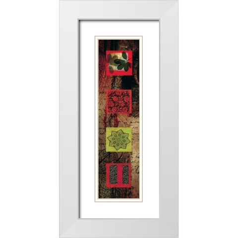 Citrus Jewel II White Modern Wood Framed Art Print with Double Matting by Hillard, Stephen
