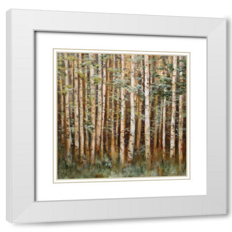 Aspen Beauty I White Modern Wood Framed Art Print with Double Matting by Lee, Scott