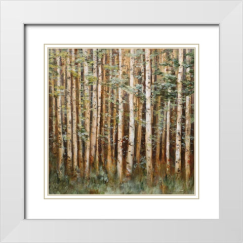 Aspen Beauty I White Modern Wood Framed Art Print with Double Matting by Lee, Scott