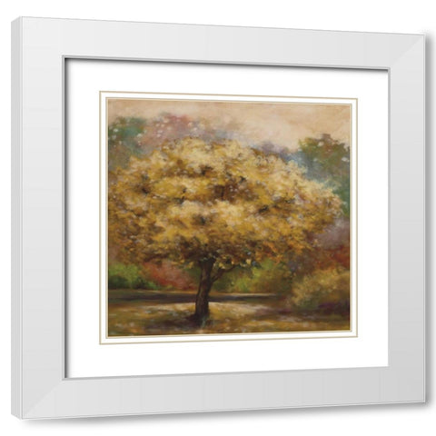 Tree Cast IV White Modern Wood Framed Art Print with Double Matting by Lee, Scott