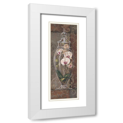 Asian Apothecary I White Modern Wood Framed Art Print with Double Matting by Jeffrey, Jillian