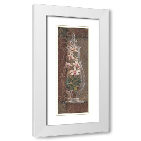 Asian Apothecary II White Modern Wood Framed Art Print with Double Matting by Jeffrey, Jillian
