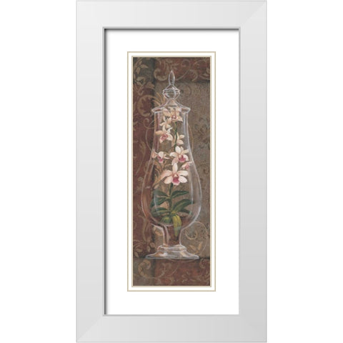 Asian Apothecary II White Modern Wood Framed Art Print with Double Matting by Jeffrey, Jillian