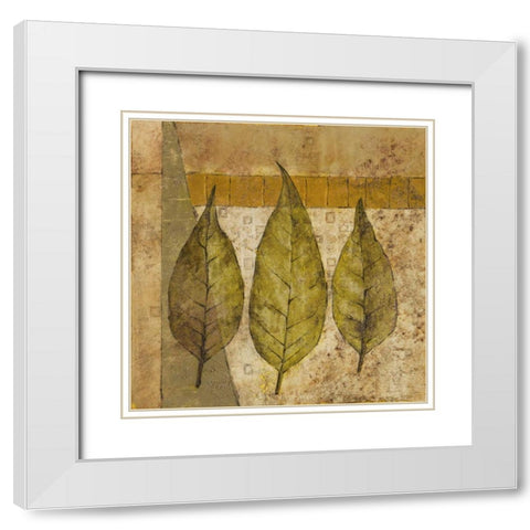 Nature Study II White Modern Wood Framed Art Print with Double Matting by Kime, John