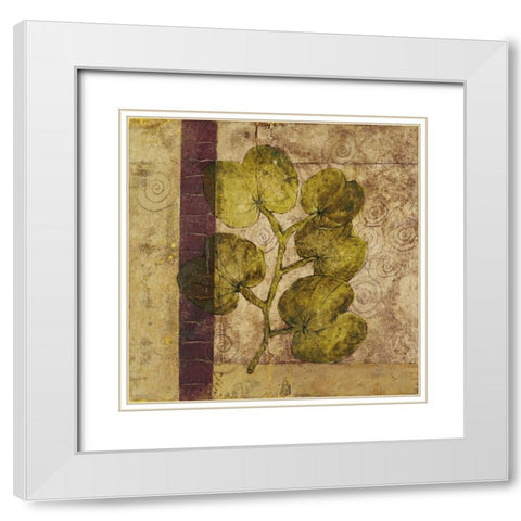Nature Study IV White Modern Wood Framed Art Print with Double Matting by Kime, John