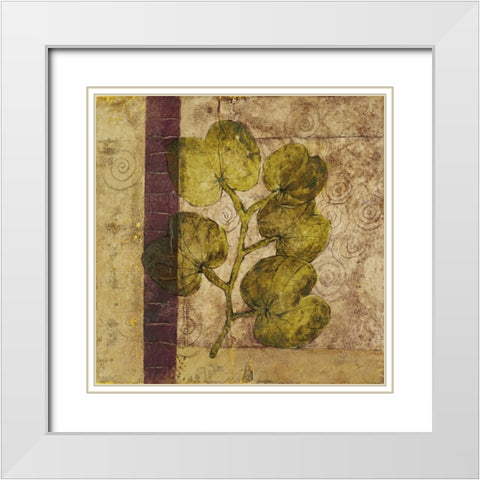 Nature Study IV White Modern Wood Framed Art Print with Double Matting by Kime, John