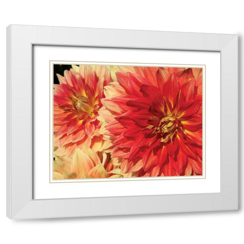 Hot Sun White Modern Wood Framed Art Print with Double Matting by Love, Maureen