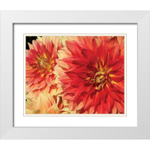 Hot Sun White Modern Wood Framed Art Print with Double Matting by Love, Maureen