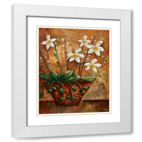Copper Vessel I White Modern Wood Framed Art Print with Double Matting by Linza, Loretta