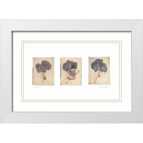 Hydrangeas White Modern Wood Framed Art Print with Double Matting by Melious, Amy