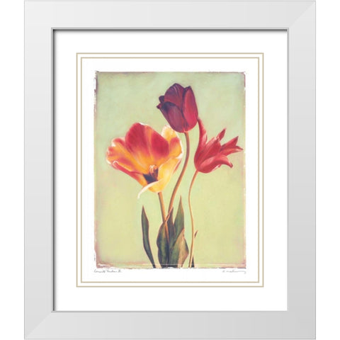 Concerto Verde II White Modern Wood Framed Art Print with Double Matting by Melious, Amy