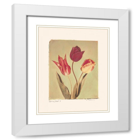 Spring Color I White Modern Wood Framed Art Print with Double Matting by Melious, Amy