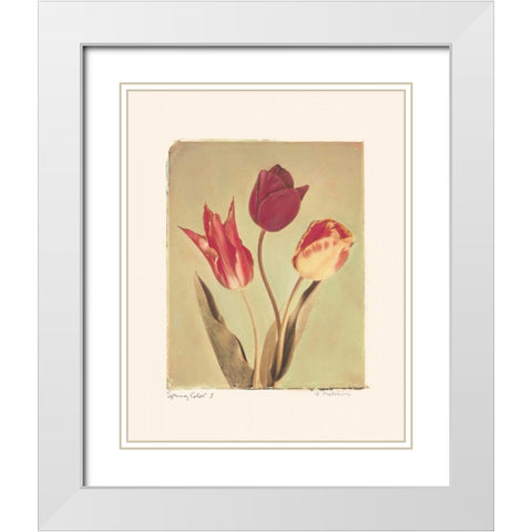 Spring Color I White Modern Wood Framed Art Print with Double Matting by Melious, Amy