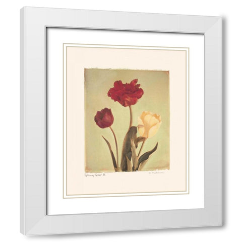 Spring Color IV White Modern Wood Framed Art Print with Double Matting by Melious, Amy