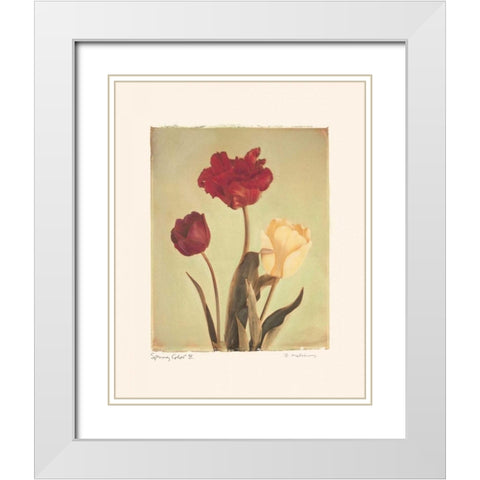 Spring Color IV White Modern Wood Framed Art Print with Double Matting by Melious, Amy