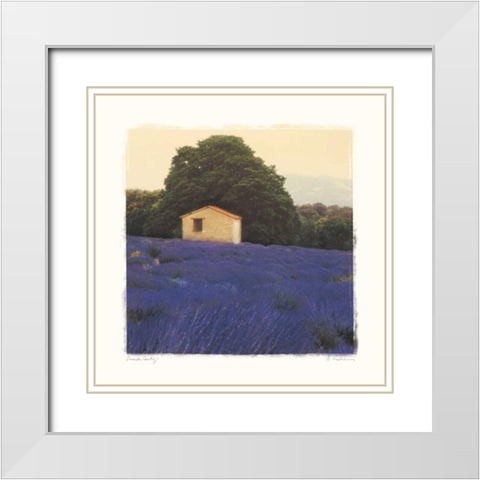 Lavender Country White Modern Wood Framed Art Print with Double Matting by Melious, Amy