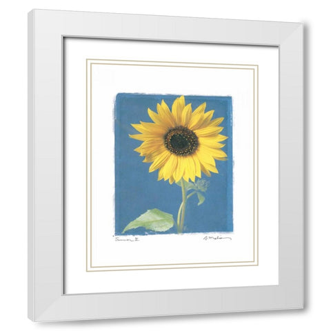 Summer II White Modern Wood Framed Art Print with Double Matting by Melious, Amy