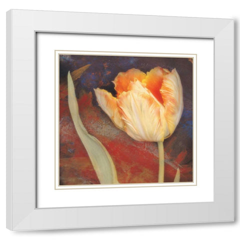 Dusk Tulip II White Modern Wood Framed Art Print with Double Matting by Melious, Amy