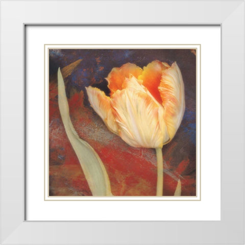 Dusk Tulip II White Modern Wood Framed Art Print with Double Matting by Melious, Amy