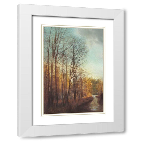 Winter Light I White Modern Wood Framed Art Print with Double Matting by Melious, Amy