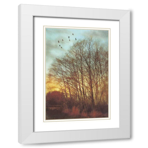 Winter Light II White Modern Wood Framed Art Print with Double Matting by Melious, Amy
