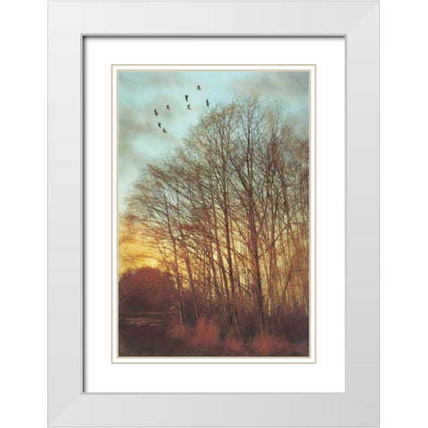 Winter Light II White Modern Wood Framed Art Print with Double Matting by Melious, Amy