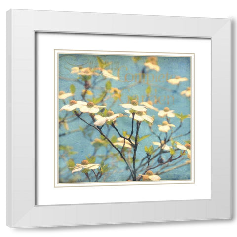 Dogwood I White Modern Wood Framed Art Print with Double Matting by Melious, Amy