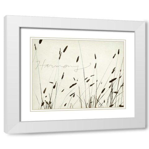 Grass Harmony White Modern Wood Framed Art Print with Double Matting by Melious, Amy