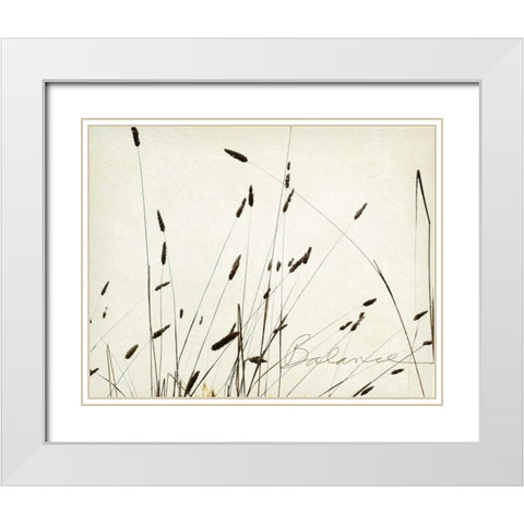 Grass Balance White Modern Wood Framed Art Print with Double Matting by Melious, Amy