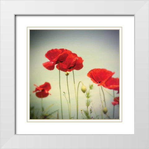 Bloom II White Modern Wood Framed Art Print with Double Matting by Melious, Amy
