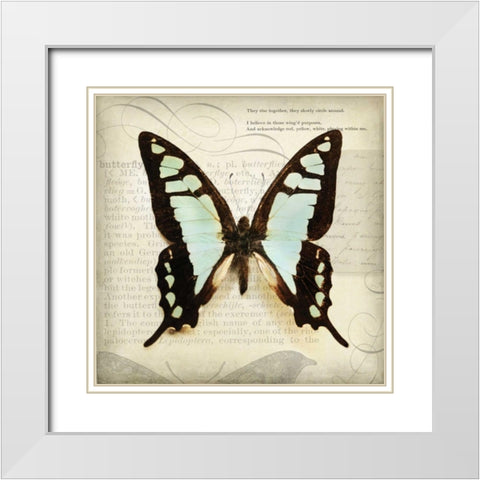 Butterflies Script I White Modern Wood Framed Art Print with Double Matting by Melious, Amy