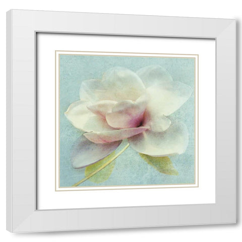 Pond Lily Sq. White Modern Wood Framed Art Print with Double Matting by Melious, Amy