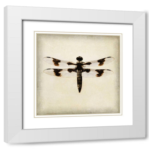 Dragonfly II White Modern Wood Framed Art Print with Double Matting by Melious, Amy