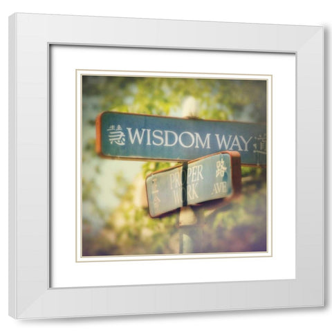 Wisdom White Modern Wood Framed Art Print with Double Matting by Melious, Amy