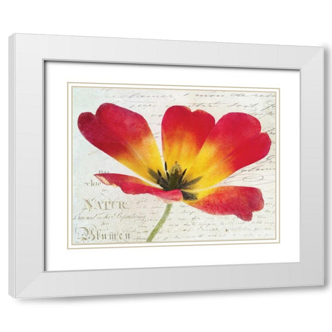 Bloom I White Modern Wood Framed Art Print with Double Matting by Melious, Amy