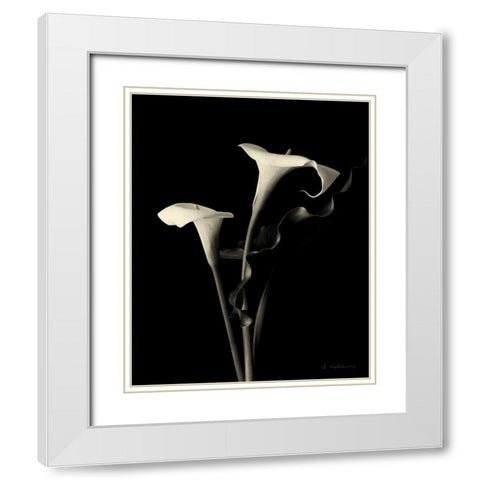 Botanical Elegance Calla III White Modern Wood Framed Art Print with Double Matting by Melious, Amy