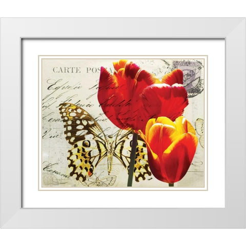 Carte Postale Tulip II White Modern Wood Framed Art Print with Double Matting by Melious, Amy
